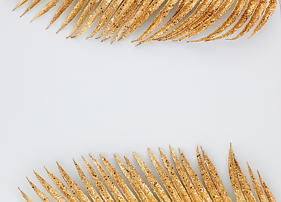 포토 JPG 해외이미지 나무 식물 디자인 꽃 백그라운드 잎 크리스마스 꽃무늬 패턴 벽지 휴가 프레임 손바닥 미술 사람없음 뷰티 유행 나뭇가지 황금 질감 고립 이국적 해외포토 손 기념일 무늬 문화예술 파일형식 이미지허브