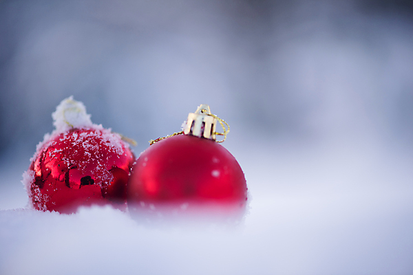 포토 JPG 해외이미지 주간 크리스마스장식 겨울 사람없음 야외 아웃포커스 눈 소프트포커스 오너먼트 해외포토 자연요소 계절 크리스마스 날씨 촬영기법 파일형식 이미지허브