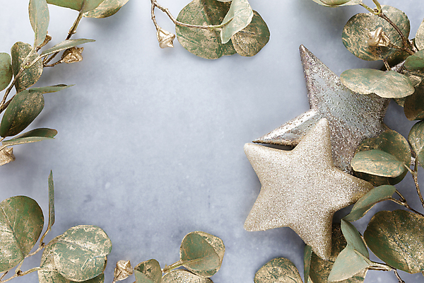 포토 JPG 해외이미지 별 크리스마스장식 겨울 회색배경 실내 사람없음 하이앵글 오브젝트 별모형 유칼립투스 카피스페이스 해외포토 자연요소 식물 계절 뷰포인트 백그라운드 크리스마스 내부 모형 공백 회색 파일형식 이미지허브