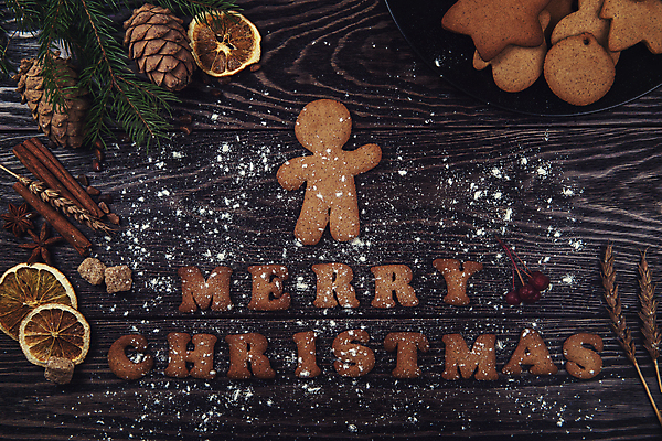 포토 JPG 해외이미지 크리스마스 실내 사람없음 쿠키 진저맨 진저쿠키 나무배경 해외포토 기념일 백그라운드 디저트 내부 파일형식 이미지허브