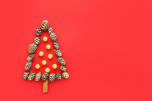 포토 JPG 해외이미지 나무 전통 계절 백그라운드 컨셉 크리스마스 추상 휴가 새해 사람없음 장식 빨간색 노란색 파티 우주 축하 인사 신용카드 황금 12월 심볼 오브젝트 심플 엽서 초대 머리위 원뿔 시나몬 플랫레이 카피스페이스 미니멀 해외포토 도형 식물 기념일 컬러 무늬 이벤트 금융 공백 예절 날짜 플랫 편지 파일형식 이미지허브