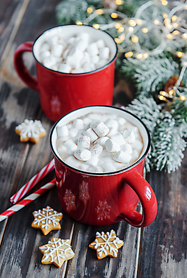 포토 JPG 해외이미지 나무 전통 계절 음료 음식 크리스마스 겨울 오렌지 탁자 아침 휴가 휴식 디저트 새로움 주택 건조 따뜻함 이벤트 사람없음 장식 컵 빨간색 크리스마스트리 쿠키 초콜릿 축제 화환 머그컵 시골 축하 인사 뜨거움 달콤 맛 편안함 코코아 마시멜로우 핸드메이드 해외포토 주간 식물 식기 기념일 꽃 컬러 가구 컨셉 과일 건물 예절 감각 파일형식 이미지허브