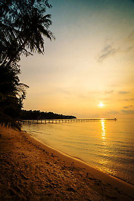 포토 JPG 해외이미지 나무 실루엣 바다 섬 여행 백그라운드 자연 하늘 휴가 손바닥 사람없음 물 태양 일출 황혼 일몰 코코넛 이국적 파라다이스 해외포토 자연요소 식물 손 과일 촬영기법 노을 생태계 파일형식 이미지허브