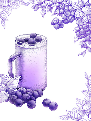 PSD 잎 일러스트 여름음식 잔 사람없음 여름 보라색 주스 블루베리 드로잉 블루베리주스 보테니컬아트 국내일러스트 식물 식기 계절 음료 음식 컬러 과일 미술 과일주스 파일형식 여름_계절