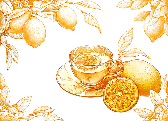 PSD 잎 일러스트 단면 사람없음 노란색 찻잔 레몬 컵받침 슬라이스 드로잉 레몬차 보테니컬아트 국내일러스트 식물 컬러 과일 잔 미술 차_음료 받침대 파일형식