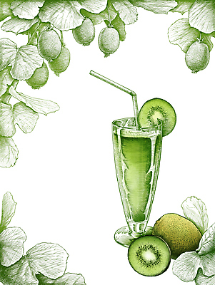 PSD 잎 일러스트 단면 여름음식 잔 키위 빨대 사람없음 초록색 여름 슬라이스 드로잉 키위주스 보테니컬아트 국내일러스트 식물 식기 계절 음식 컬러 과일 미술 과일주스 파일형식 여름_계절