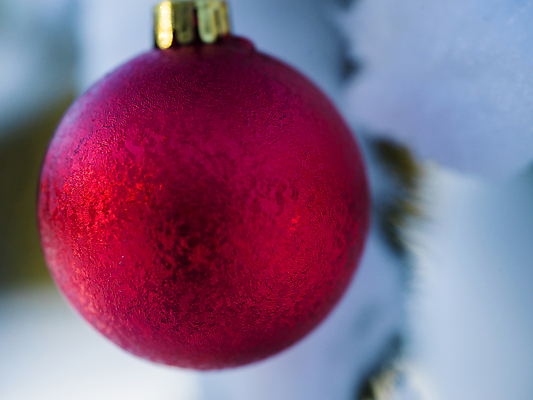 포토 JPG 해외이미지 주간 크리스마스장식 겨울 근접촬영 사람없음 야외 아웃포커스 오너먼트 해외포토 자연요소 계절 뷰포인트 크리스마스 촬영기법 파일형식 이미지허브