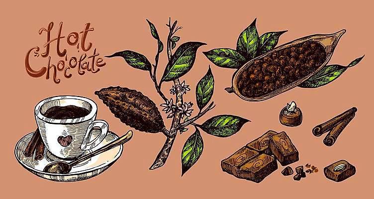 EPS 해외이미지 나무 식물 템플릿 손 디자인 커피 선 음식 백그라운드 잎 과일 일러스트 재료 자연 디저트 콩 잉크 미술 씨앗 그래픽 컵 라벨 식당 초콜릿 어둠 수확 껍질 나뭇가지 뜨거움 달콤 스케치 심볼 메뉴 그림 유기농 판화 코코아 내추럴 마시멜로우 고립 꼬투리 시나몬 엘리먼트 옛날 카카오 해외일러스트 식기 웰빙 음료 농업 문화예술 곡류 프레임 신체부위 상점 맛 생태계 파일형식 벡터 이미지허브