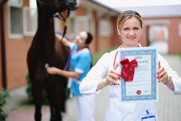 포토 JPG 해외이미지 동물 직업 손 여자 행복 스포츠 청진기 건강 병원 사람 두명 치료 가축 경쟁 고통 시험 간호사 의사 승마 서비스 문서 방문 의견 수의사 기르기 돌봄 증명서 헬프 해외포토 교육 감정 컨셉 의학 의료기기 모션 신체부위 의료진 도움 파일형식 이미지허브