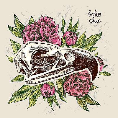 EPS 해외이미지 동물 손 디자인 꽃 야생동물 과학 백그라운드 티셔츠 일러스트 해부 자연 조류 염소 뼈 골격 동물원 미술 그래픽 장식 장미 머리 검은색 수확 시골 죽음 소 주식 위험 스케치 문신 묘사 그림 복고 사냥 양고기 감탄 고립 서쪽 옛날 해골모형 생존 스타일 현실 해외일러스트 식물 컬러 컨셉 셔츠 농업 포유류 의학 문화예술 육류 신체부위 금융 모형 방향 생태계 파일형식 벡터 이미지허브