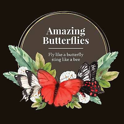 EPS 해외이미지 꽃 나비 잎 여러마리 일러스트 사람없음 검은색 분위기 손그림 감성 원형프레임 해외일러스트 식물 컬러 다수 곤충 컨셉 프레임 원형 파일형식 벡터 이미지허브