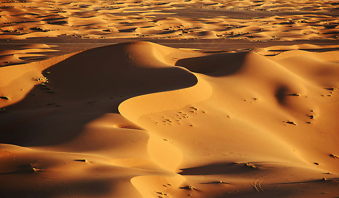 포토 JPG 해외이미지 모래 사람없음 사막 모로코 사하라 해외포토 아프리카 파일형식 이미지허브