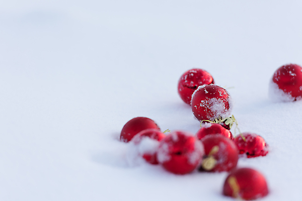 포토 JPG 해외이미지 주간 크리스마스장식 겨울 사람없음 야외 눈 소프트포커스 오너먼트 해외포토 자연요소 계절 크리스마스 날씨 촬영기법 파일형식 이미지허브