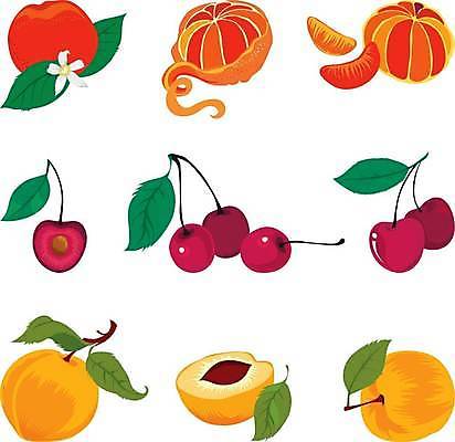 EPS 해외이미지 열매 음식 잎 다이어트 오렌지 일러스트 자연 건강 미술 장식 초록색 세트 노란색 식사 수확 신선 체리 수집 오브젝트 유기농 살구 숙성 채식주의자 해외일러스트 식물 웰빙 컬러 농업 과일 문화예술 생태계 채식 파일형식 벡터 이미지허브