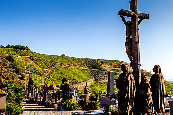 포토 JPG 해외이미지 포도 사람없음 와인 프랑스 시골 포도밭 해외포토 유럽 밭 과일 주류 파일형식 이미지허브