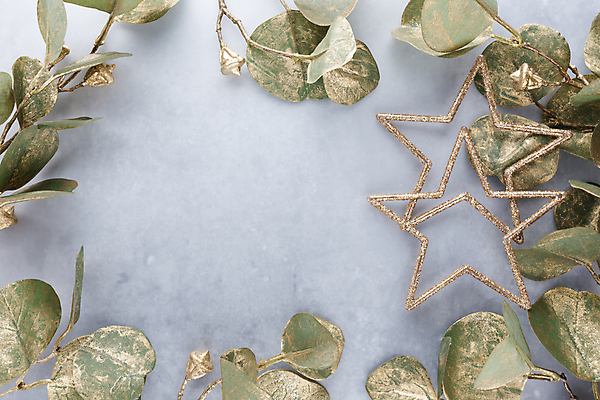 포토 JPG 해외이미지 별 크리스마스장식 겨울 회색배경 실내 사람없음 하이앵글 오브젝트 별모형 유칼립투스 카피스페이스 해외포토 자연요소 식물 계절 뷰포인트 백그라운드 크리스마스 내부 모형 공백 회색 파일형식 이미지허브