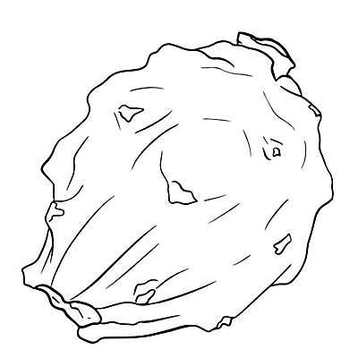 EPS 해외이미지 식물 디자인 아시아 음식 조각 다이어트 과일 일러스트 재료 태국 자연 디저트 건강 동양인 여름 세트 주스 흰색 용 신선 달콤 맛 낙서 스케치 메뉴 유기농 날것 손그림 비타민 내추럴 고립 숙성 이국적 채식주의자 맛있는 해외일러스트 웰빙 계절 나라 음료 컬러 컨셉 미술 인종 생태계 채식 영양소 파일형식 벡터 이미지허브