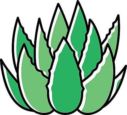 EPS 해외이미지 일러스트 선인장 사람없음 초록색 해외일러스트 식물 컬러 파일형식 벡터 이미지허브