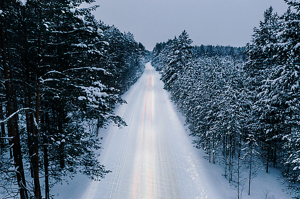 포토 JPG 해외이미지 나무 도로 여행 겨울 자연 사람없음 야외 숲 가로수 눈길 항공촬영 눈내림 눈덮임 해외포토 식물 계절 길 뷰포인트 컨셉 교통시설 눈_날씨 생태계 파일형식 이미지허브