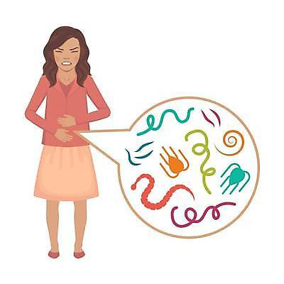 EPS 해외이미지 포스터 어린이 과학 신체 일러스트 해부 건강 현미경 사람 내부 약 고통 시험 그룹 벌레 질병 큼 생물학 감염 위생관리 해외일러스트 교육 감정 곤충 의학 실험기구 관리 크기 파일형식 벡터 이미지허브