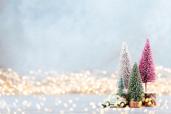 포토 JPG 해외이미지 크리스마스 자동차 실내 사람없음 아웃포커스 크리스마스트리 미니어처 흰배경 보케 미니트리 해외포토 기념일 육상교통 백그라운드 촬영기법 내부 모형 흰색 파일형식 이미지허브