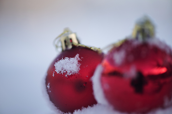포토 JPG 해외이미지 주간 크리스마스장식 겨울 사람없음 야외 눈 오너먼트 해외포토 자연요소 계절 크리스마스 날씨 파일형식 이미지허브