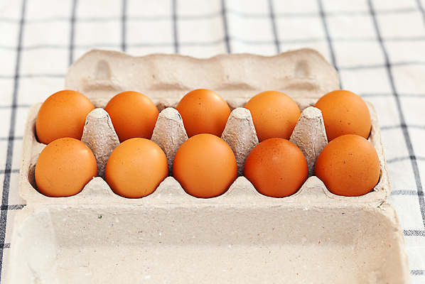 포토 JPG 해외이미지 실내 사람없음 계란 식탁보 계란판 해외포토 내부 알 파일형식 이미지허브