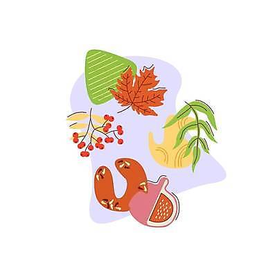 EPS 해외이미지 모양 식물 디자인 계절 줄기 컨셉 단풍 잎 과일 일러스트 자연 추상 미술 그래픽 장식 유행 축제 버섯 수확 가을 플랫 낙서 만화 오브젝트 상업 날것 심플 손그림 무화과 내추럴 엘리먼트 포상금 스타일 미니멀 해외일러스트 돈 무늬 농업 문화예술 생태계 파일형식 벡터 산업 재산 금융 경제 이미지허브