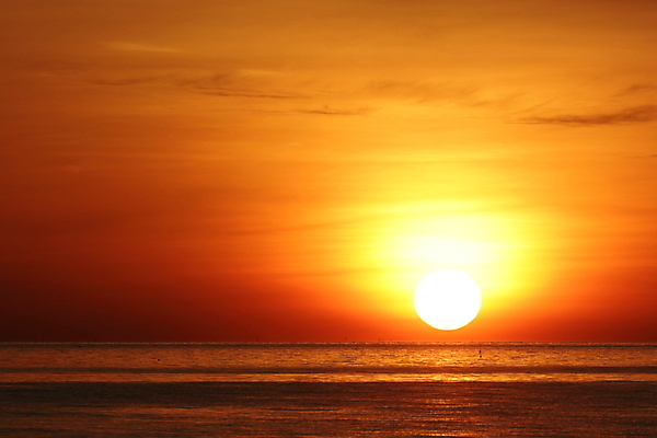 포토 JPG 해외이미지 계절 실루엣 모래 파도 바다 여행 오렌지 자연 벽지 하늘 아침 휴식 사람없음 빛 컬러풀 햇빛 태양 뷰티 반사 카메라 일출 맑음 일몰 봄 새벽 황금 디지털카메라 저녁 휴양지 카이로 수평선 해외포토 주간 자연요소 컬러 컨셉 과일 날씨 촬영기법 이집트 전자제품 노을 장소 야간 생태계 파일형식 이미지허브