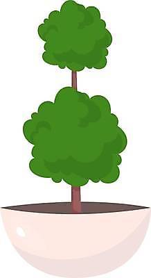 EPS 해외이미지 나무 일러스트 사람없음 원예 반려식물 해외일러스트 식물 취미 파일형식 벡터 이미지허브