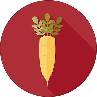 EPS 해외이미지 음식 겨울 다이어트 채소 일러스트 재료 건강 동양인 중국 신선 심볼 사인 뿌리 비타민 내추럴 고립 채식주의자 총각무 비건 해외일러스트 계절 아시아 인종 무 채식 영양소 파일형식 벡터 이미지허브