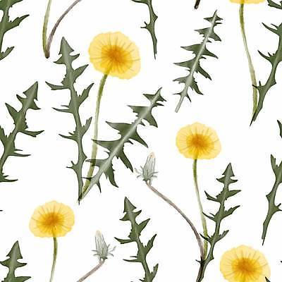 EPS 해외이미지 백그라운드 잎 꽃무늬 패턴 일러스트 사람없음 노란색 빈티지 해외일러스트 식물 꽃 컬러 컨셉 무늬 파일형식 벡터 이미지허브