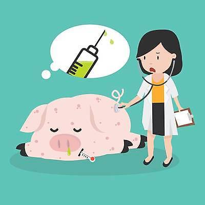 EPS 해외이미지 전신 한마리 여자 말풍선 일러스트 청진기 건강 주사기 한명 서기 들기 성인 건강관리 진료 돼지 수의사 민트색 서류판 성인여자한명만 아프리카돼지열병 돼지전염병 해외일러스트 1 컬러 포유류 의학 의료기기 모션 관리 사람 사무용품 의사 여자한명만 성인여자만 파일형식 벡터 가축전염병 이미지허브