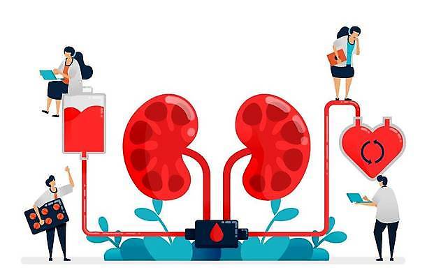 EPS 해외이미지 전신 여자 남자 일러스트 건강 들기 앉기 여러명 성인 빨간색 노트북 태블릿 알약 간호사 의사 혈액 신장 순환 성인만 해외일러스트 컬러 다수 모션 사람 전자제품 스마트기기 약 의료진 비뇨기관 파일형식 벡터 이미지허브