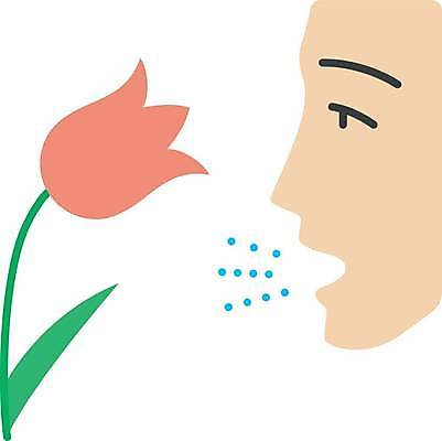 EPS 해외이미지 꽃 일러스트 사람없음 얼굴모양 꽃가루알레르기 해외일러스트 모양 식물 얼굴 알레르기 파일형식 벡터 이미지허브