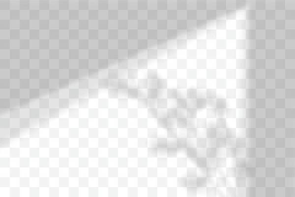 EPS 해외이미지 잎 일러스트 그림자 사람없음 나뭇가지 블러 블러효과 해외일러스트 나무 식물 파일형식 벡터 효과 이미지허브