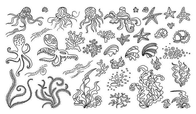 EPS 해외이미지 식물 동물 손 선 파도 바다 꽃무늬 일러스트 낚시 휴가 조개 불가사리 미술 장식 물 세트 바닷속 수중 껍질 화려 산호 만화 스케치 수집 아래 유기농 다이빙 윤곽 손그림 암초 수족관 동물상 생태학 엘리먼트 타격 해외일러스트 자연요소 웰빙 교육 꽃 컨셉 무늬 모션 레저 문화예술 어패류 극피동물 신체부위 조형물 수영 자포동물 방향 위치 수중스포츠 파일형식 벡터 이미지허브