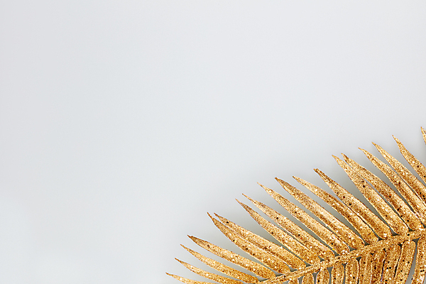 포토 JPG 해외이미지 나무 식물 디자인 꽃 백그라운드 잎 크리스마스 꽃무늬 패턴 벽지 휴가 프레임 손바닥 미술 사람없음 뷰티 유행 나뭇가지 황금 질감 고립 이국적 해외포토 손 기념일 무늬 문화예술 파일형식 이미지허브