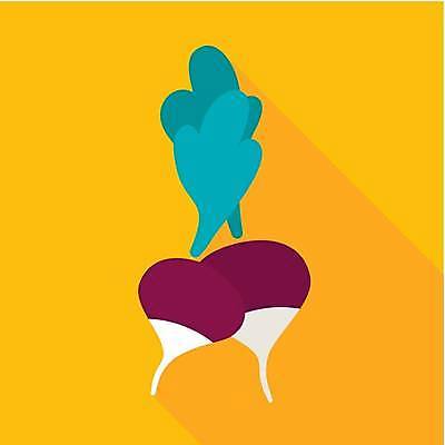 EPS 해외이미지 식물 음식 농업 다이어트 채소 일러스트 자연 건강 식사 주스 신선 플랫 달콤 심볼 사인 유기농 비타민 내추럴 고립 숙성 채식주의자 총각무 맛있는 해외일러스트 웰빙 산업 음료 맛 무 생태계 채식 영양소 파일형식 벡터 이미지허브