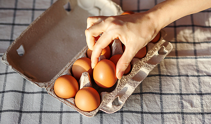 포토 JPG 해외이미지 손 실내 들기 사람없음 신체부위 계란 식탁보 잡기 계란판 해외포토 모션 사람 내부 알 파일형식 이미지허브