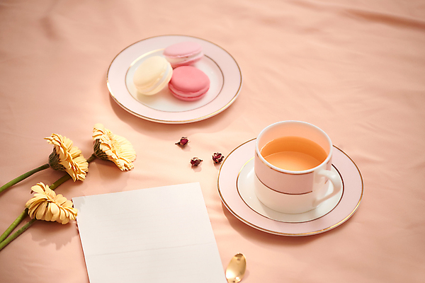 포토 JPG 해외이미지 꽃 실내 사람없음 편지 오브젝트 마카롱 분홍색배경 해외포토 식물 분홍색 백그라운드 디저트 내부 파일형식 이미지허브