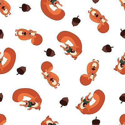 EPS 해외이미지 백그라운드 패턴 일러스트 사람없음 컬러풀 패턴백그라운드 다람쥐 해외일러스트 컬러 무늬 설치류 파일형식 벡터 이미지허브