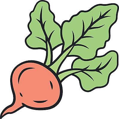 EPS 해외이미지 클립아트 식물 디자인 꽃 컨셉 잎 농업 다이어트 채소 일러스트 재료 자연 건강 요리 농작물 픽토그램 농장 정원 웹 샐러드 수확 시골 신선 만화 먹기 가득함 심볼 그림 에코 유기농 날것 레시피 칼로리 비타민 고립 비트 숙성 채식주의자 총각무 스타일 비건 해외일러스트 웰빙 산업 음식 인터넷 모션 환경 무 생태계 채식 영양소 파일형식 벡터 이미지허브