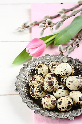 포토 JPG 해외이미지 식물 템플릿 전통 디자인 계절 행복 음식 분홍색 백그라운드 휴가 부활절 기념 선물 미술 사람없음 장식 쌓기 초콜릿 계란 축제 봄 튤립 덮개 축하 인사 신용카드 달콤 인쇄 다발 심볼 오브젝트 냅킨 초대 흙더미 내추럴 삽입 해외포토 기념일 꽃 감정 컬러 컨셉 모션 문화예술 디저트 금융 알 흙 뚜껑 예절 맛 파일형식 더미 이미지허브