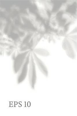 EPS 해외이미지 백그라운드 잎 일러스트 그림자 사람없음 그늘 해외일러스트 식물 파일형식 벡터 이미지허브