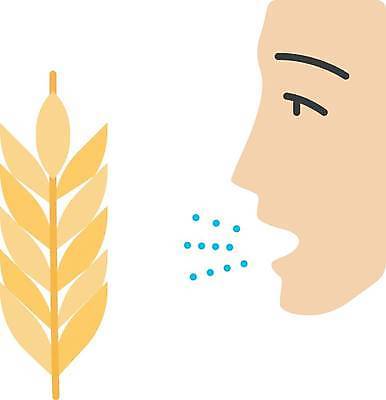 EPS 해외이미지 일러스트 사람없음 밀 얼굴모양 알레르기 해외일러스트 모양 얼굴 곡류 질병 파일형식 벡터 이미지허브