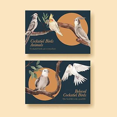 EPS 해외이미지 여러마리 일러스트 조류 나뭇잎 수채화 사람없음 세트 주황색 나뭇가지 남색 앵무새 소셜네트워크 소셜미디어 해외일러스트 나무 동물 컬러 다수 잎 파일형식 벡터 이미지허브