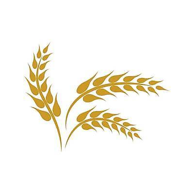 EPS 해외이미지 식물 디자인 배너 음식 빵 백그라운드 농업 다이어트 일러스트 자연 밥 건조 건강 옥수수 씨앗 농작물 농장 노란색 라벨 수확 성장 신선 시장 황금 상품 낟알 시리얼 밀 먹기 심볼 사인 유기농 보리 밀가루 스파이크 내추럴 고립 밭일 엘리먼트 귀리 해외일러스트 웰빙 산업 컬러 모션 곡류 프레임 가루 생태계 파일형식 벡터 이미지허브