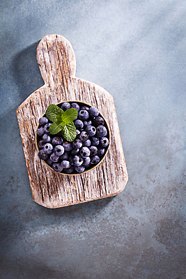 포토 JPG 해외이미지 식물 열매 음식 백그라운드 농업 다이어트 과일 자연 디저트 건강 사람없음 목재 파란색 그룹 사발 달콤 맛 먹기 유기농 블루베리 날것 흙더미 내추럴 숙성 채식주의자 맛있는 해외포토 나무 웰빙 산업 컬러 컨셉 재료 모션 흙 사기그릇 생태계 채식 파일형식 더미 이미지허브