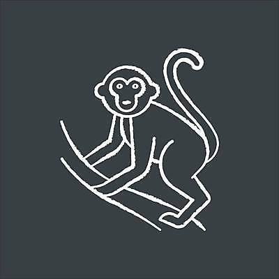 EPS 해외이미지 동물 디자인 야생동물 선 여행 백그라운드 컨셉 일러스트 포유류 동물원 검은색 웹 칠판 흰색 원숭이 낙서 숲 스케치 심볼 사인 그림 분필 윤곽 발리 인도네시아 손그림 방문 탐사 유인원 침팬지 고립 동물상 이국적 활자 해외일러스트 아시아 컬러 섬 인터넷 미술 조형물 초크 활자판 파일형식 벡터 나라 문화예술 인쇄판 인쇄 이미지허브
